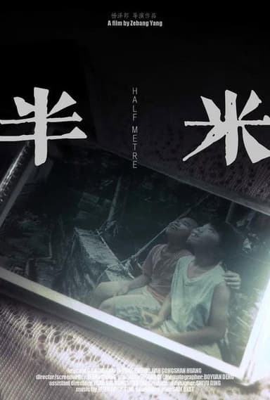 Half-Meter poster