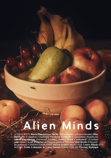 Alien Minds poster