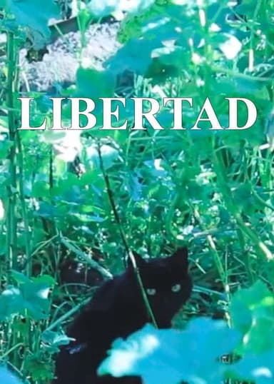 Freedom poster