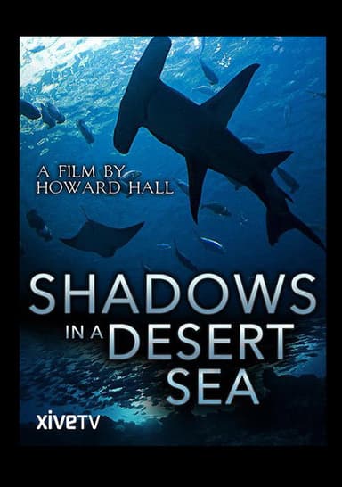 Shadows in a Desert Sea poster