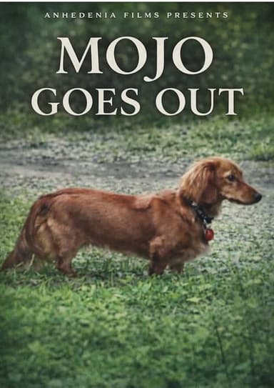 Mojo Goes Out poster