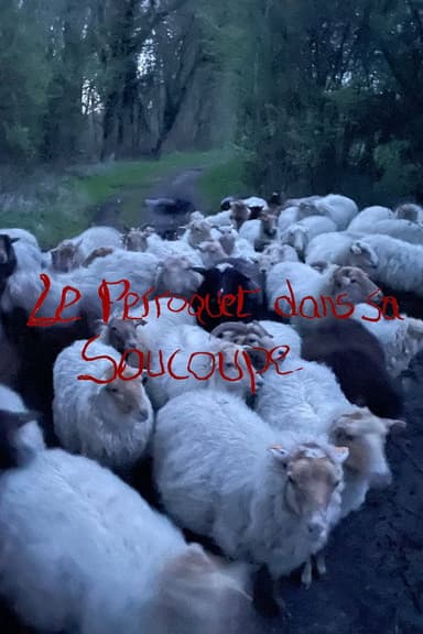 Le Perroquet dans sa Soucoupe (Short Version) poster