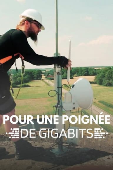 Pour une poignée de gigabits poster