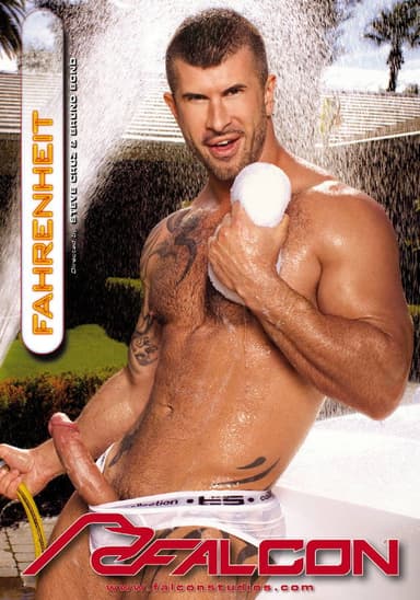 Fahrenheit poster