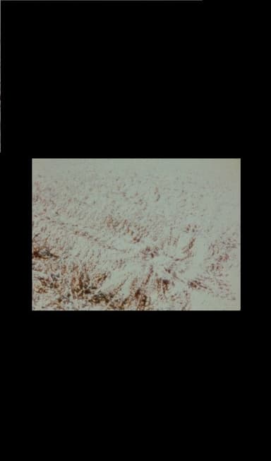 WAIT poster