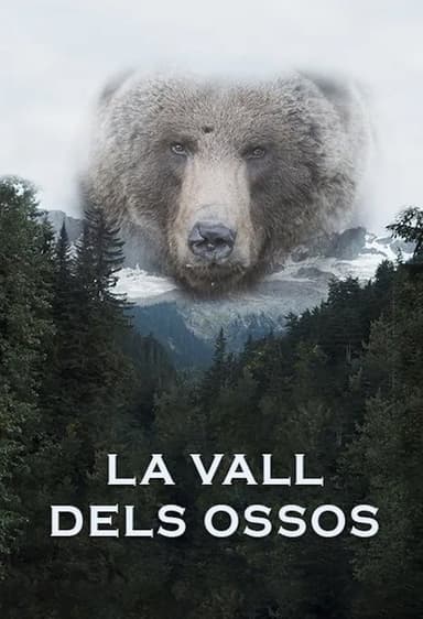 Valley of the Bears poster
