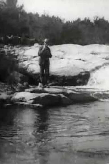 Brook Trout Fishing poster