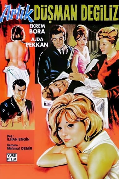 Artık Düşman Değiliz poster