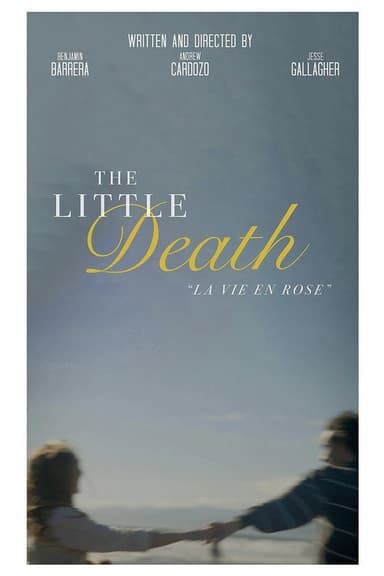 The Little Death poster