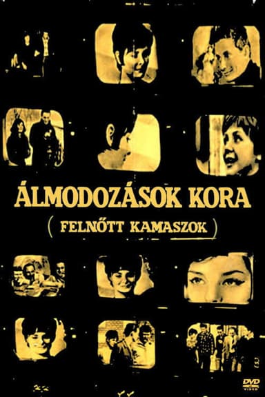 Age of Illusions poster