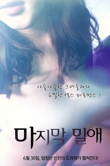 The Last Liaison poster