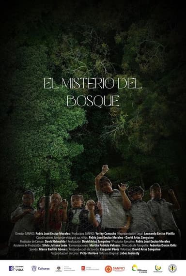 The Wood's Mystery poster