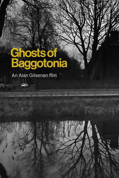 Ghosts of Baggotonia poster