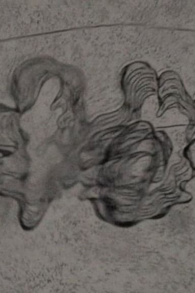 In a Mere Metamorphosis poster