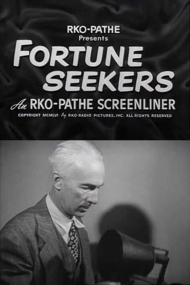 Fortune Seekers poster