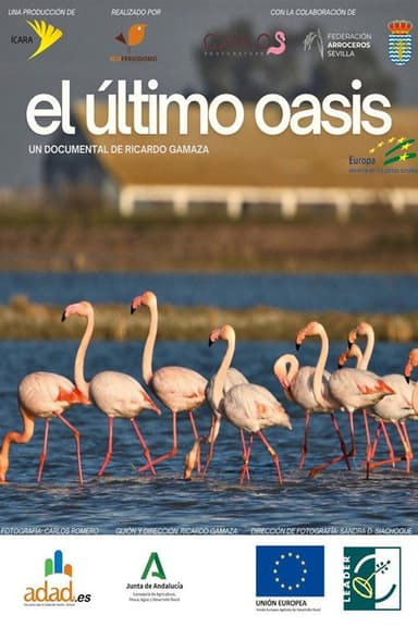 El último oasis poster