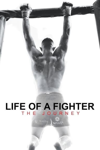 Life of a Fighter: The Journey poster