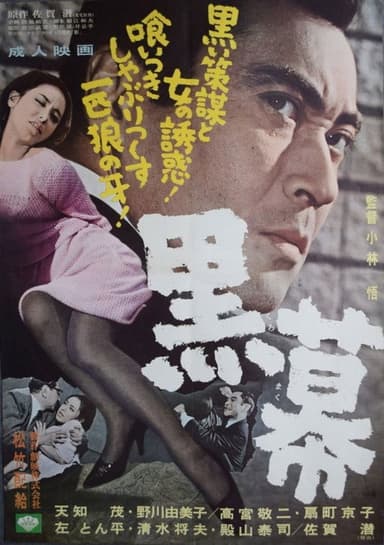 Black Curtain poster
