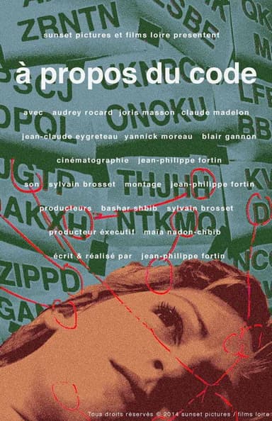 Concerning the Code poster