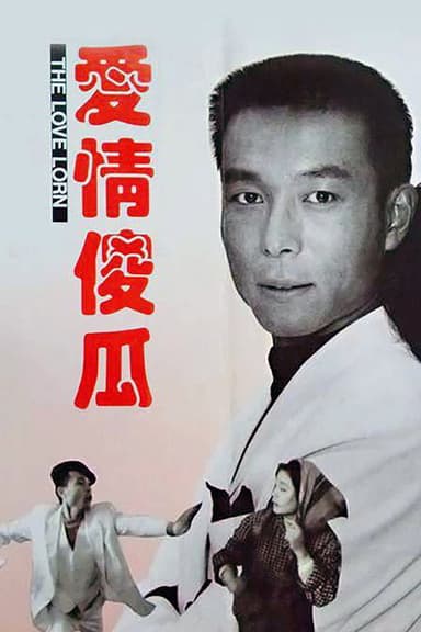 爱情傻瓜 poster