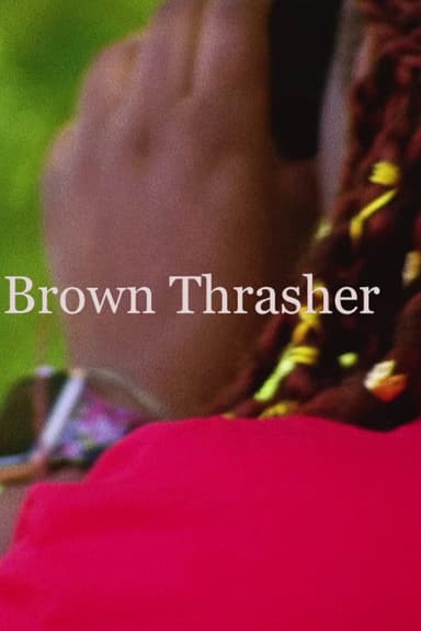 Brown Thrasher poster