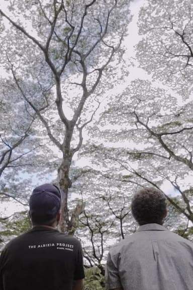 Paradigm Now: The Albizia Project poster