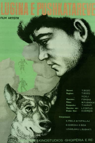 Valley of the Riflemen poster