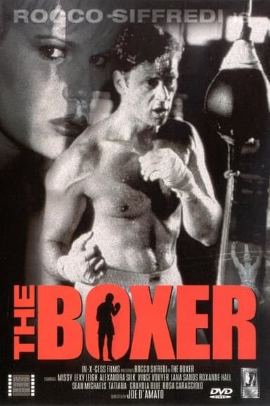 The Boxer poster