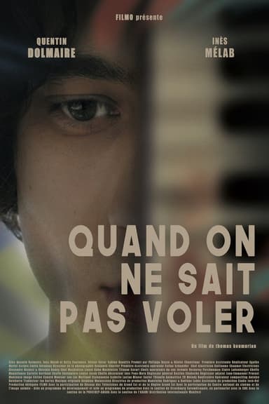 If You Can't Fly poster