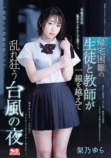 帰宅困難の生徒と教師が一線を越えて乱れ狂う台風の夜 poster