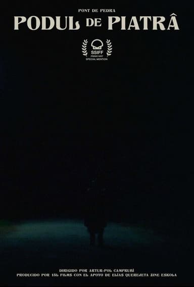 The Stone Bridge poster