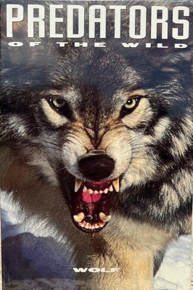 Predators of the Wild: Wolf poster