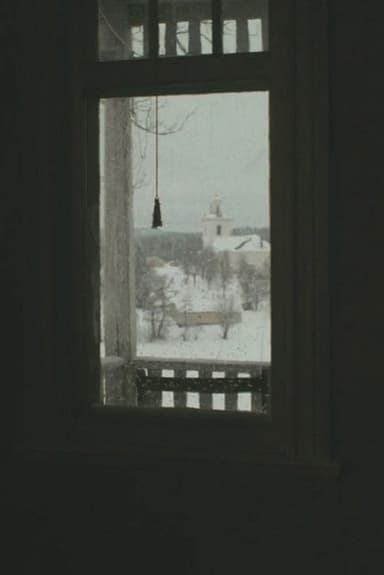 The Home poster