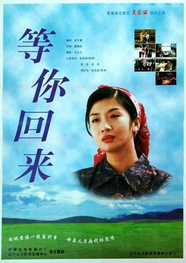 Wait For Your Coming Back poster