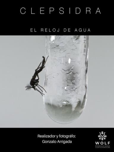 CLEPSIDRA poster