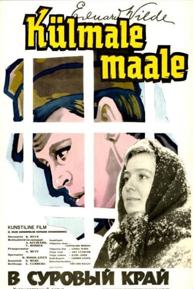To a Cold Land poster