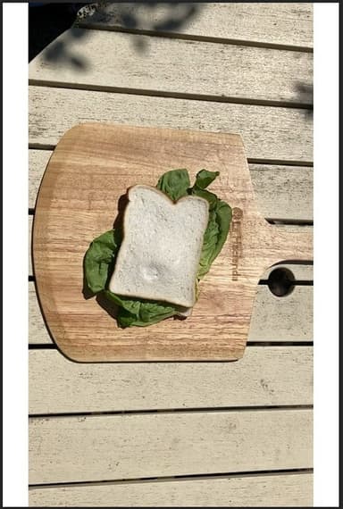 The Sandwich poster