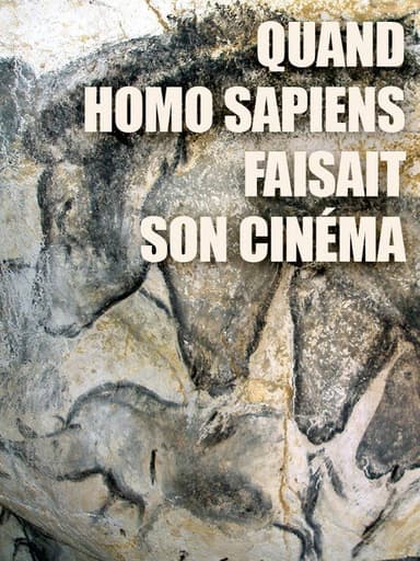 Stone Age Cinema poster