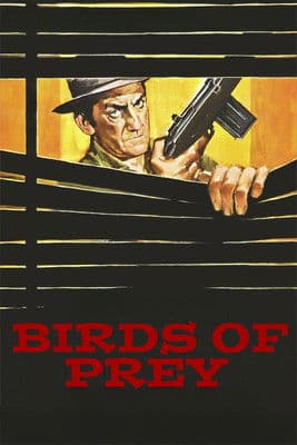 Birds of Prey poster