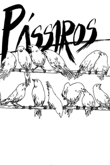 Birds poster