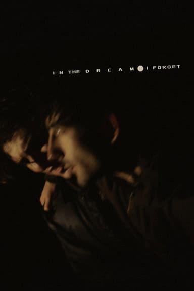 In the Dream I Forget poster