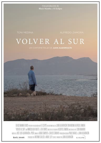 Volver al sur poster