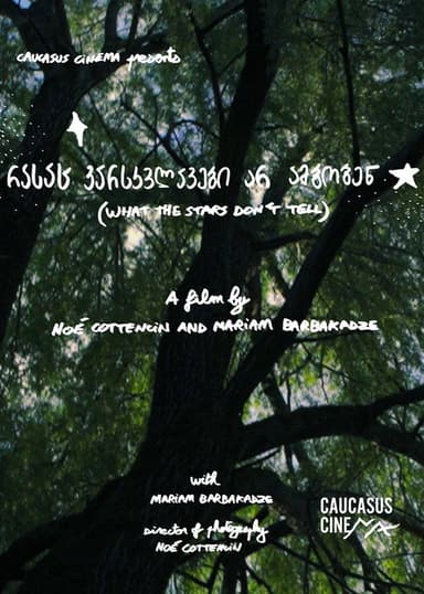 What the Stars Don’t Tell poster