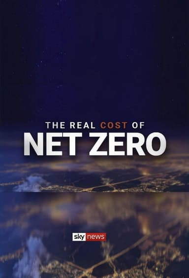 The Real Cost of Net Zero poster