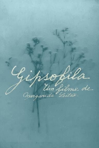 Gypsophila poster