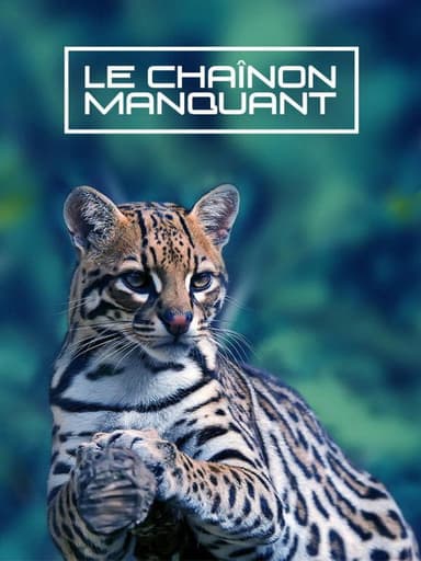 Le Chaînon Manquant poster