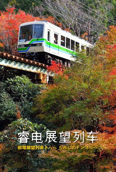 睿电展望列车 - 叡電展望列車きらら もみじのトンネルへ poster