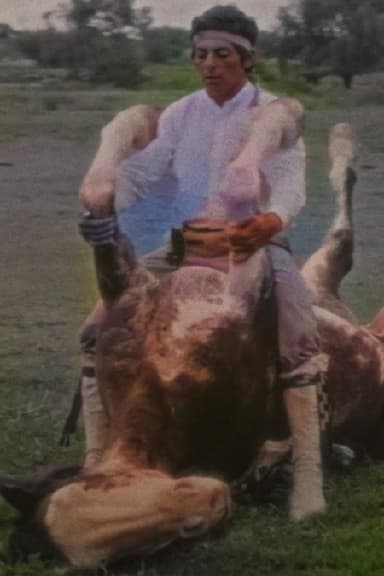 The Rider poster