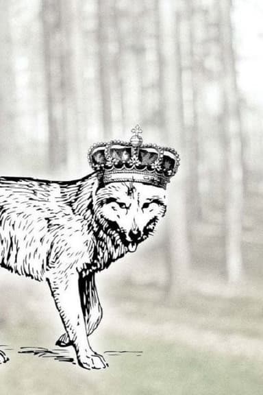 Canis Lupus Belgicus poster