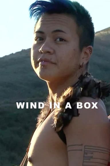 Wind in a Box poster